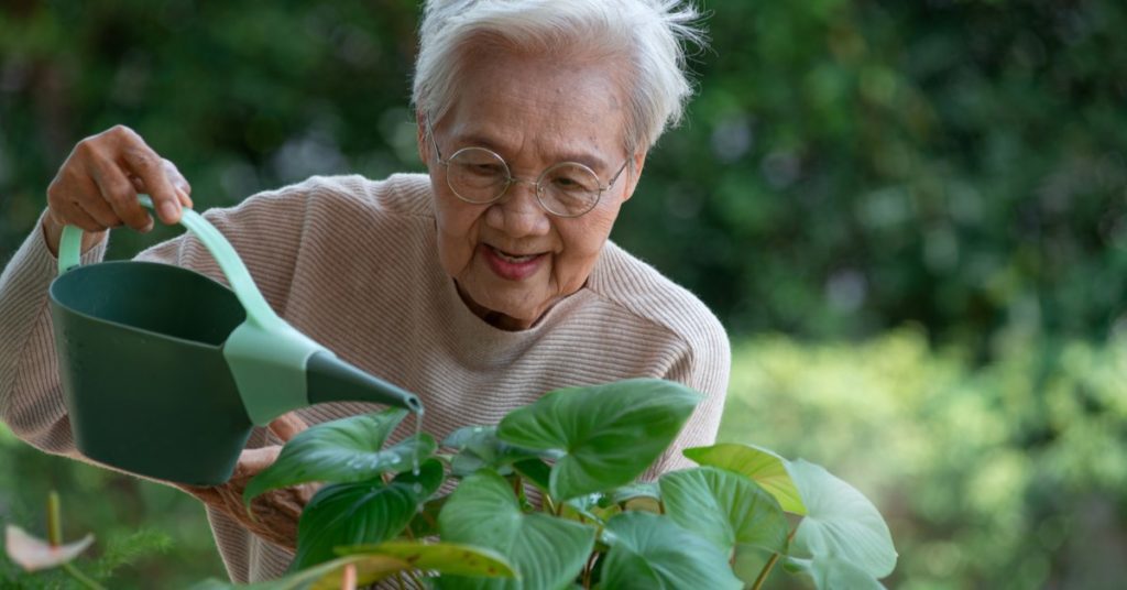 Hobbies for Seniors: 10 Interesting Activities, gardening