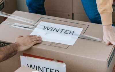 10 Top Winter Moving Tips
